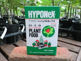 楽天市場 観葉植物 熱帯植物の通販
