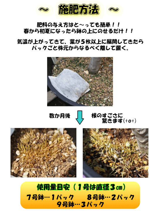 楽天市場 花つき抜群 プルメリア 熱帯植物の専用肥料魅惑の肥料ハッピープルメリア お得な10個パック 植物との同梱可能 送料無料 Tahiti Marche ータヒチマルシェー 楽天市場 花つき抜群 プルメリア 熱帯植物の専用肥料魅惑の肥料ハッピープルメリア お得な10個パック 植物との同梱可能 送料無料 Tahiti Marche ータヒチマルシェー