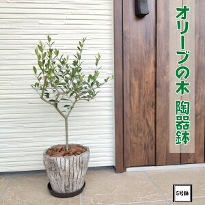 sI[u̖ 5픫tRpNg`Ŏɂsb^GOR ϗtA V Vzj j JXj av[g 蕨 v[g Mtg 