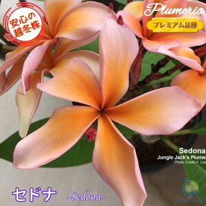 _S̉z~^ vA Zhi 5v~Ai큙WOWbNX nCACt[ eBpjG tWpj A c MѐA nC ^C ^q` 