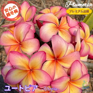 _S̉z~^ vA [gsA 5v~Ai큙WOWbNX nCACt[ eBpjG tWpj A c MѐA nC ^C ^q` 