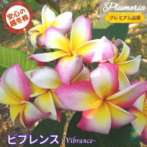 _S̉z~^ vA ruX 5v~Ai큙WOWbNX nCACt[ eBpjG tWpj A c MѐA nC ^C ^q` 