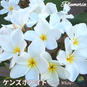 vA PYzCg AO[hc 5X^_[hi큙WOWbNX nCACt[ eBpjG tWpj A c MѐA nC ^C ^q` 