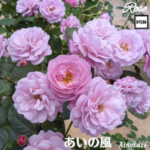 k\񏤕il_XIWi8dl^ oc ̕ 2Nc ږؕc SH Vun o c c KN ΂ lG炫 