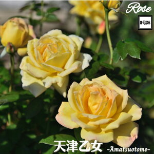 k\񏤕il_XIWi8dl^ oc VÉ 2Nc ږؕc HT nCubheB o c c KN ΂ lG炫 