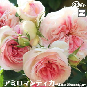 k\񏤕il_XIWi8dl^ oc A~}eBJ 2Nc ږؕc CL 鐫 o c c KN ΂ lG炫 