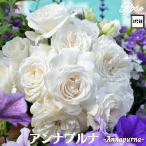 k\񏤕il_XIWi8dl^ oc Aivi 8 2Nc ږؕcFL to_Dorieux h o c c KN JԂ炫 