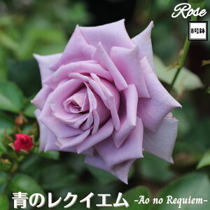 k\񏤕il_XIWi8dl^ oc ̃NCG 2Nc ږؕc HT nCubgeBT[Y o c c KN ΂ lG炫 