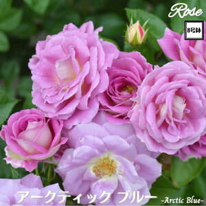 k\񏤕il_XIWi8dl^ oc A[NeBbNu[ 2Nc ږؕc FL to_ o c c KN ΂ lG炫 