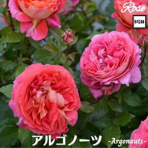 k\񏤕il_XIWi8dl^ oc ASm[c 2Nc ږؕc S VuTIGeBX o c c KN ΂ lG炫 