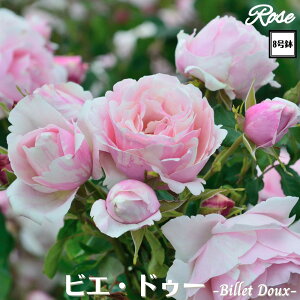 k\񏤕il_XIWi8dl^ oc rGhD[ 2Nc ږؕc S VuDelbard fo[ o c c KN ΂ lG炫 