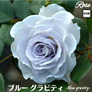 k\񏤕il_XIWi8dl^ oc u[OreB 2Nc ږؕc HT nCubgeBTIGeBX o c c KN ΂ lG炫 