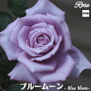 k\񏤕il_XIWi8dl^ oc u[[ 2Nc ږؕcHT nCubheBo c c KN lG炫 