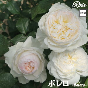 k\񏤕il_XIWi8dl^ oc { 2Nc ږؕc FL to_ o c c KN ΂ lG炫 