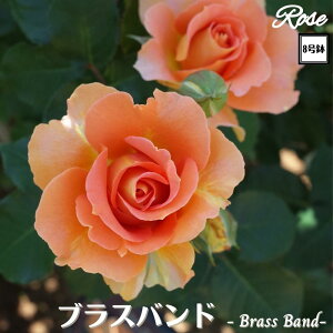 k\񏤕il_XIWi8dl^ oc uXoh 2Nc ږؕc FL to_ o c c KN ΂ lG炫 