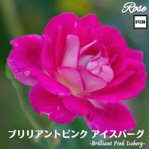 k\񏤕il_XIWi8dl^ oc uAgsNACXo[O 8 2Nc ږؕcFL to_o c c KN lG炫 