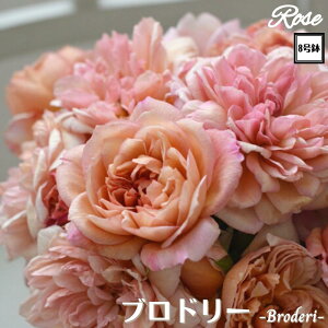 k\񏤕il_XIWi8dl^ oc uh[ 8 2Nc ږؕcS Vu[YhDX[ ͖{o o c c KN lG炫 