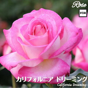 k\񏤕il_XIWi8dl^ oc JtHjAh[~O 2Nc ږؕc HT nCubgeB o c c KN ΂ lG炫 