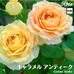 k\񏤕il_XIWi8dl^ oc LAeB[N 2Nc ږؕc HT nCubheB o c c KN ΂ lG炫 