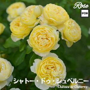 k\񏤕il_XIWi8dl^ oc Vg[hDVxj[ 2Nc ږؕc S VuDelbard fo[ o c c KN ΂ lG炫 