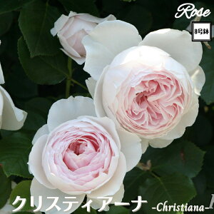 k\񏤕il_XIWi8dl^ oc NXeBA[i 2Nc ږؕc CL NC~O[Y o o c c KN ΂ lG炫 