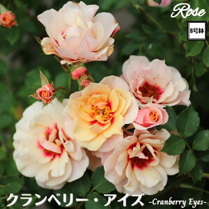 k\񏤕il_XIWi8dl^ oc Nx[ACY 2Nc ږؕc S Vu[i[ o c c KN ΂ lG炫 