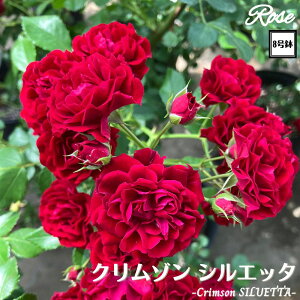 k\񏤕il_XIWi8dl^ oc N]VGb^ 2Nc ږؕc CL NC~O[Y o c c KN ΂ lG炫 