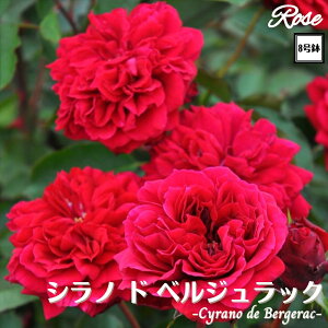 k\񏤕il_XIWi8dl^ oc VmhxWbN 8 2Nc ږؕcFL to_TIGeBX o c c KN lG炫 