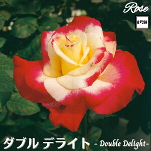 k\񏤕il_XIWi8dl^ oc _ufCg 8 Nc ږؕcHT nCubheBo c c KN Ԃ炫 