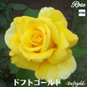 k\񏤕il_XIWi8dl^ oc htgS[h 2Nc ږؕc HT nCubgeB o c c KN ΂ lG炫 