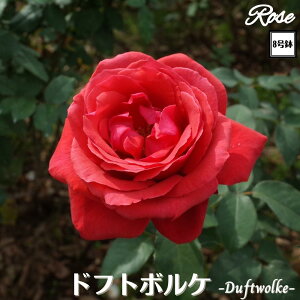 k\񏤕il_XIWi8dl^ oc htg{P 8 Nc ږؕcHT nCubheBo c c KN lG炫 