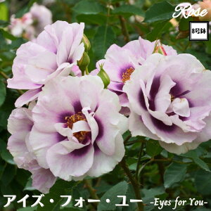 k\񏤕il_XIWi8dl^ oc ACYtH[[ 2Nc ږؕc FL to_[i[ o c c KN ΂ lG炫 