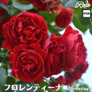 k\񏤕il_XIWi8dl^ oc teB[i 2Nc ږؕc CL NC~O[Y o o c c KN ΂ Ԃ炫 