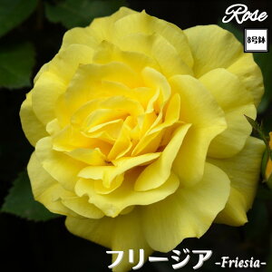 k\񏤕il_XIWi8dl^ oc t[WA 2Nc ږؕc FL to_ o c c KN ΂ lG炫 