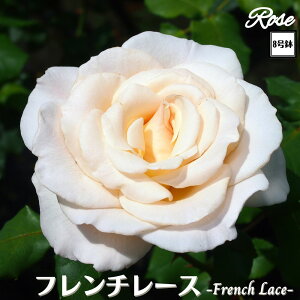 k\񏤕il_XIWi8dl^ oc t`[X 8 2Nc ږؕcFL to_o c c KN lG炫 