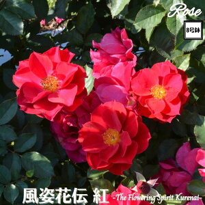 k\񏤕il_XIWi8dl^ oc pԓ` g 2Nc ږؕc FL to_TIGeBX o c c KN ΂ lG炫 