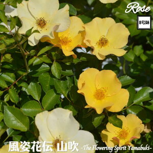 k\񏤕il_XIWi8dl^ oc pԓ` R 2Nc ږؕc S VuTIGeBX o c c KN ΂ lG炫 