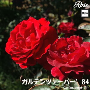 k\񏤕il_XIWi8dl^ oc Kec@Eo[84 8 2Nc ږؕcFL to_o c c KN lG炫 