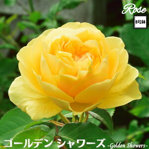 k\񏤕il_XIWi8dl^ oc S[fV[Y 2Nc ږؕc CL NC~O[Y o c c KN ΂ lG炫 