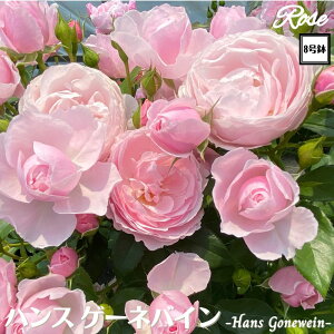 k\񏤕il_XIWi8dl^ oc nXQ[loC 2Nc ږؕc S Vu o c c KN ΂ lG炫 