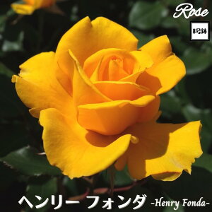 k\񏤕il_XIWi8dl^ oc w[tH_ 2Nc ږؕc HT nCubheB o c c KN ΂ lG炫 