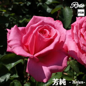 k\񏤕il_XIWi8dl^ oc F 8 2Nc ږؕcHT nCubheBo c c KN lG炫 