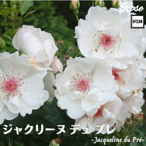 k\񏤕il_XIWi8dl^ oc WN[kfv 2Nc ږؕc S Vu[Y o c c KN ΂ lG炫 