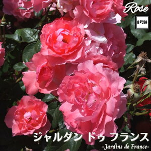 k\񏤕il_XIWi8dl^ oc W_hDtX 2Nc ږؕc FL to_ o c c KN ΂ lG炫 