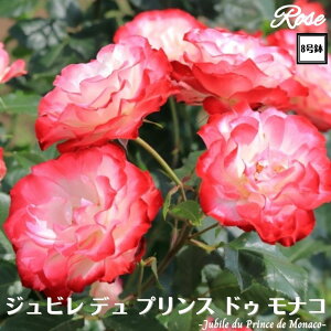 k\񏤕il_XIWi8dl^ oc WrfvXhDiR 8 Nc ږؕcFL to_o c c KN lG炫 