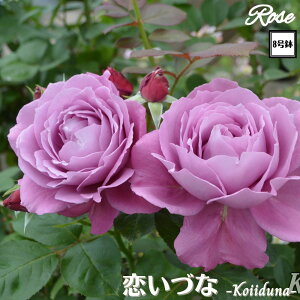 k\񏤕il_XIWi8dl^ oc Â 2Nc ږؕc FL to_ o c c KN ΂ lG炫 