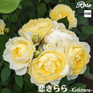 k\񏤕il_XIWi8dl^ oc  2Nc ږؕc FL to_ o c c KN ΂ lG炫 