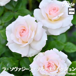 k\񏤕il_XIWi8dl^ oc \@W[keGpbV 2Nc ږؕc FL to_Delbard fo[ o c c KN ΂ lG炫 