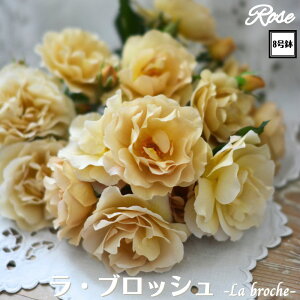 k\񏤕il_XIWi8dl^ oc  ubV 8 2Nc ږؕcS Vu[YhDX[ ͖{o o c c KN lG炫 