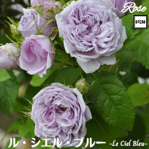 k\񏤕il_XIWi8dl^ oc VGu[ 8 2Nc ږؕc S VuTIGeBX o c c KN lG炫 